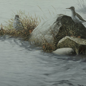 Jay Johnson (American, b. 1960)