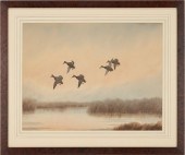 J.D. KNAPP WATERCOLOR, DUCKS I