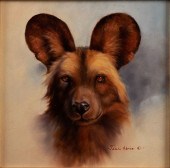JEAN ABRIE (SOUTH AFRICAN, 20T