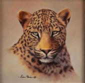 JEAN ABRIE (SOUTH AFRICAN, 20T