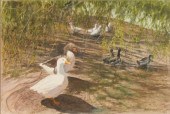 Jean Coval Garro (American, b.