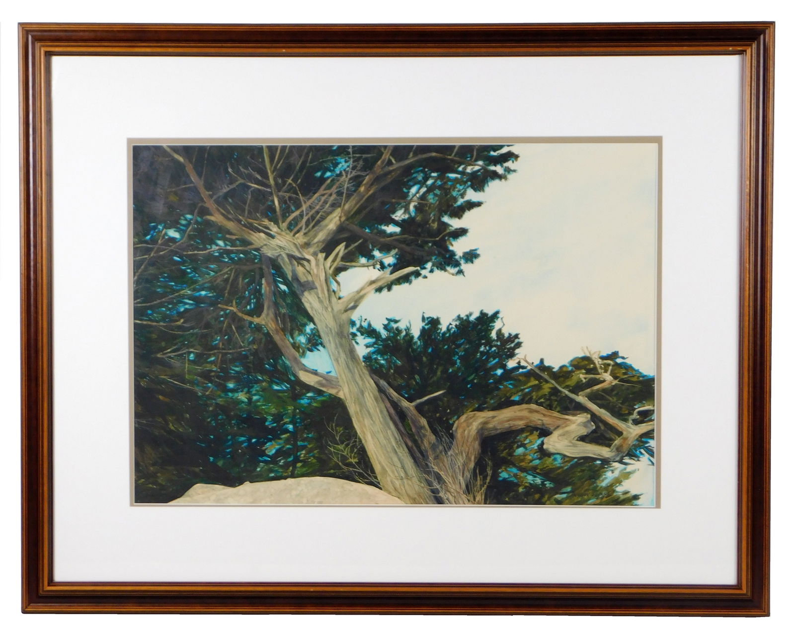 JEAN MORGAN GEORGE, "CYPRESS I",
