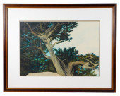 JEAN MORGAN GEORGE, "CYPRESS I