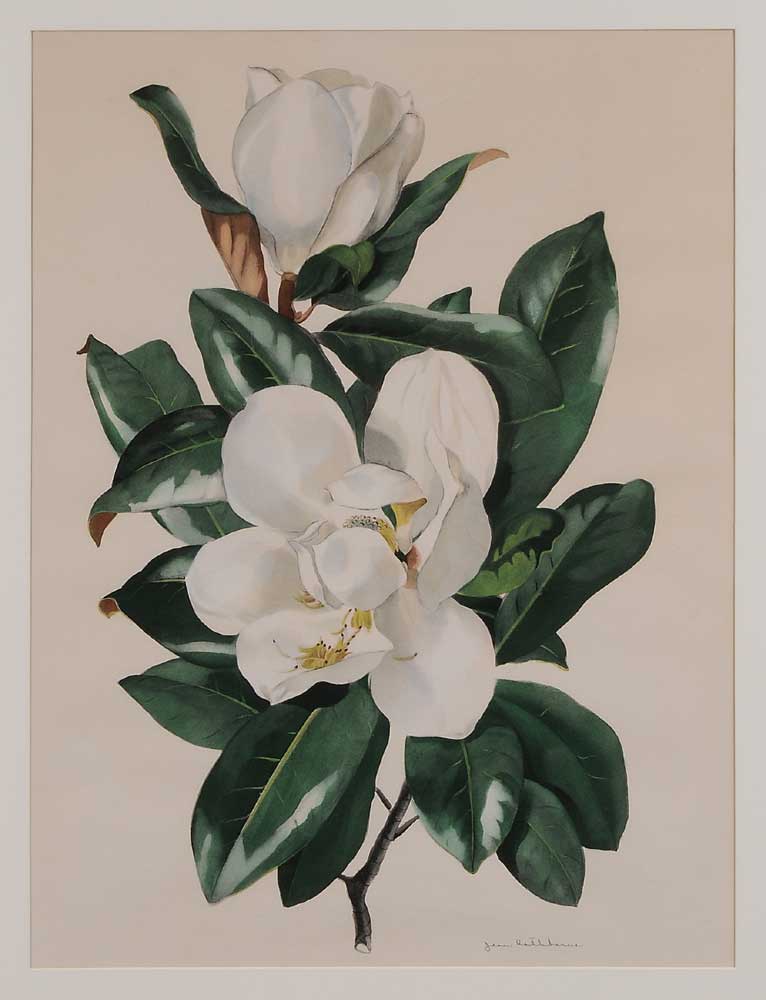 Jean Rathborne (Georgia, 20th