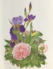 JEANNE HOLGATE (BRITISH, 1920