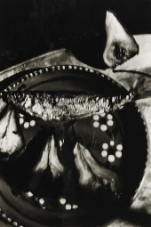 JEFFREY SILVERTHORNE (1946-202