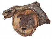 JERRY COKER METAL "IDENTITY" M