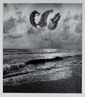 JERRY NORMAN UELSMANN SURREALI