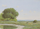 JERRY RUTHVEN (TX, B.1947) PAI