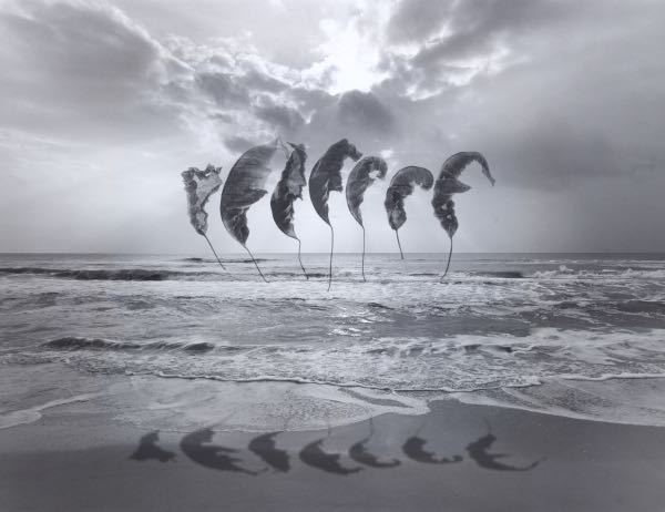 JERRY UELSMANN (AMERICAN, B.
