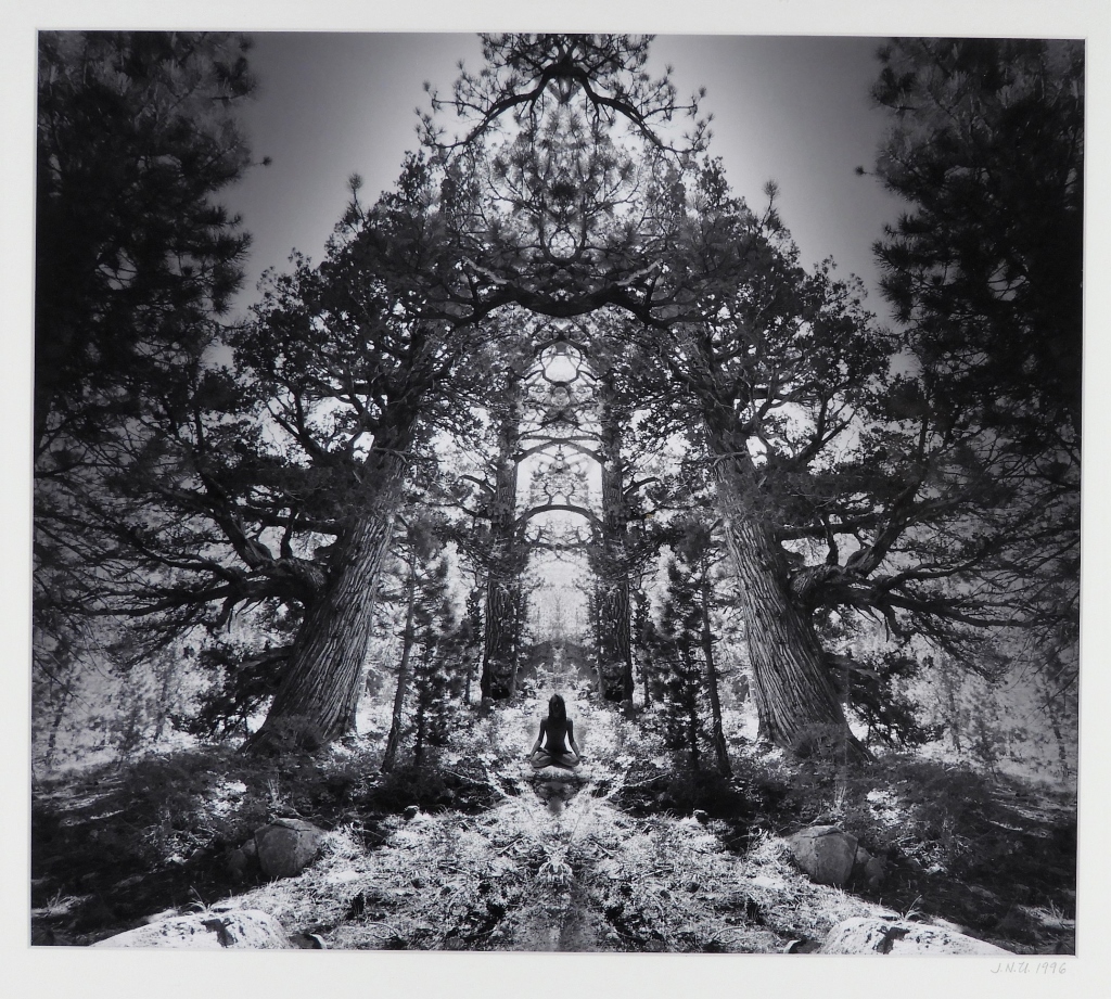 JERRY UELSMANN SURREAL REDWOOD