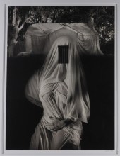 JERRY UELSMANN VIRGIN APPARITI