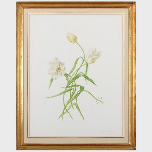 JESSICA TCHEREPNINE (B. 1938):