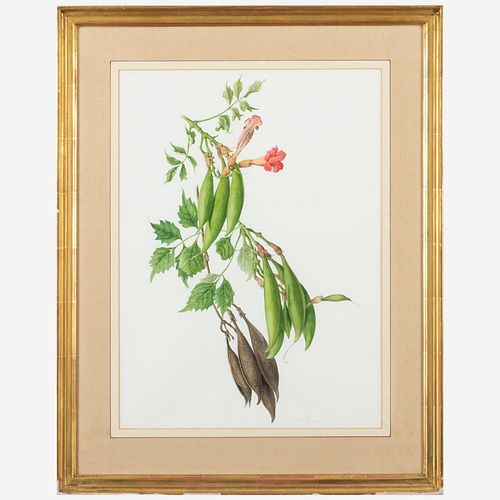 JESSICA TCHEREPNINE (B. 1938):