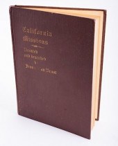 JESSIE VAN BRUNT'S CALIFORNIA