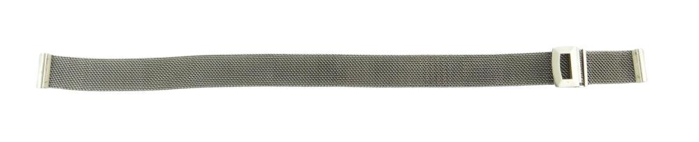 JEWELRY: MESH PLATINUM WATCH