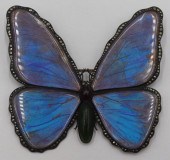 JEWELRY. UNUSUAL LARGE BUTTERF