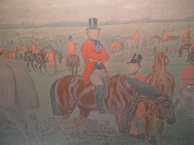 J.F. Herring's Senr color fox
