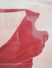 JIM BONES, EDGE OF MIGRATING D