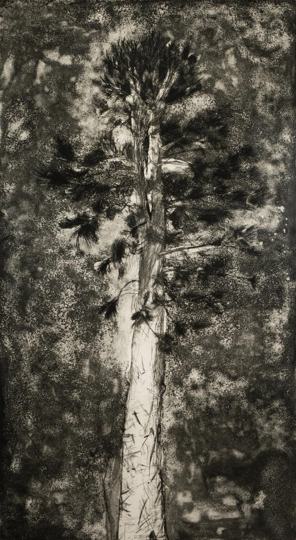JIM DINE (B. 1935): THE PINE IN A