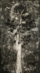 JIM DINE (B. 1935): THE PINE I