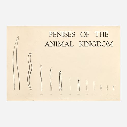 JIM KNOWLTON "PENISES OF THE ANIMAL