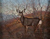 JIM MORGAN (AMERICAN, B. 1947)