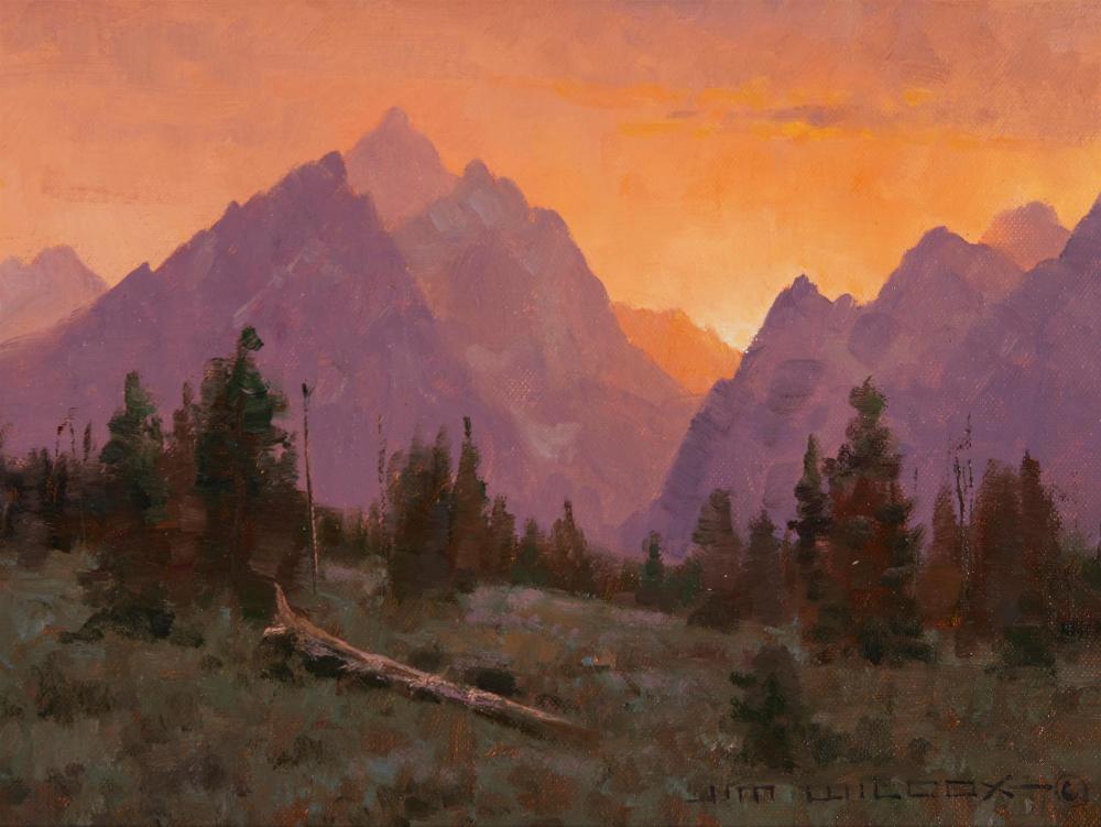 JIM WILCOX, (B. 1941), "SKIES
