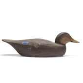 JIMMY BOWDEN (VA), BLACK DUCK<