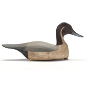 JIMMY BOWDEN (VA), PINTAIL<br>