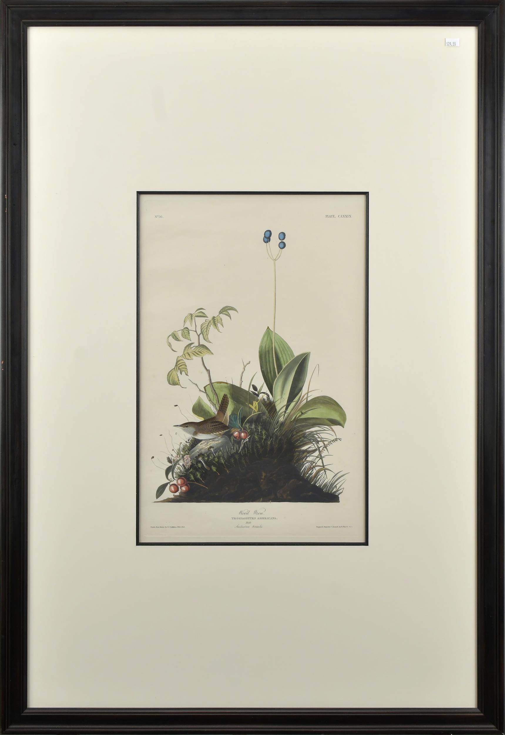 JJ AUDUBON HAVELL EDITION
