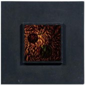 J.M. Cruxent electrified const