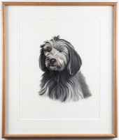 JOCELYN SANDOR, BLACK DOG, CRA