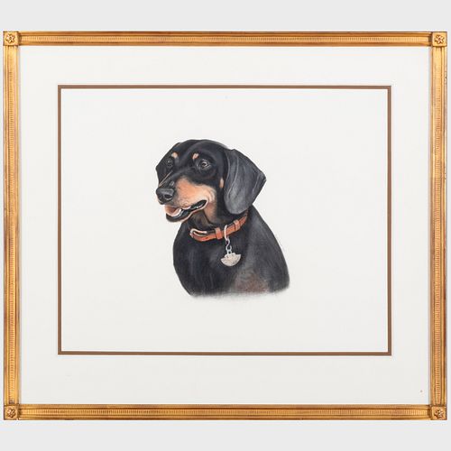 JOCELYN SANDOR: PORTRAIT OF A