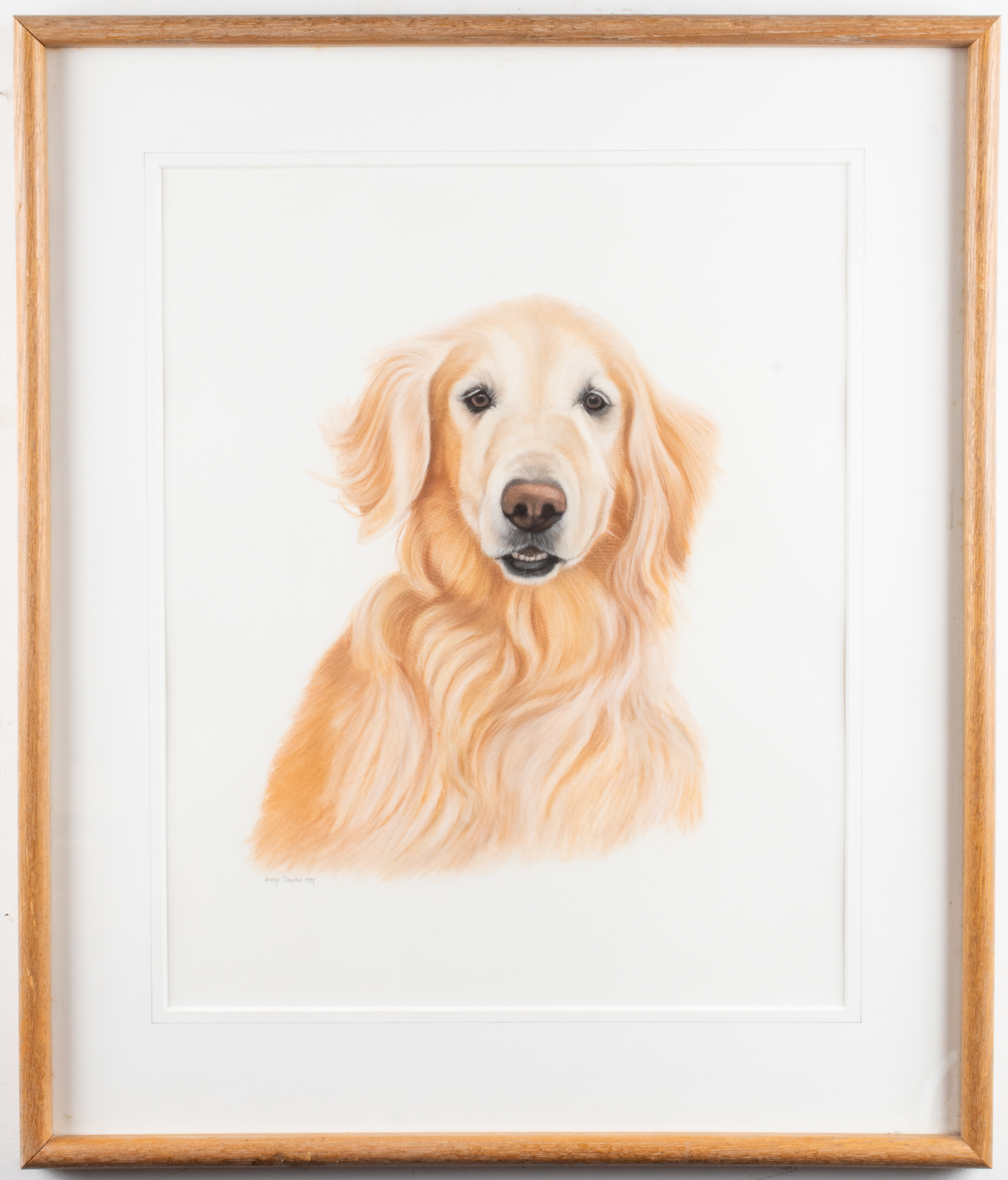 JOCELYN SANDOR, YELLOW LABRADOR