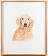 JOCELYN SANDOR, YELLOW LABRADO