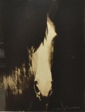 JOE ANDOE (B.1955) HORSE HEAD