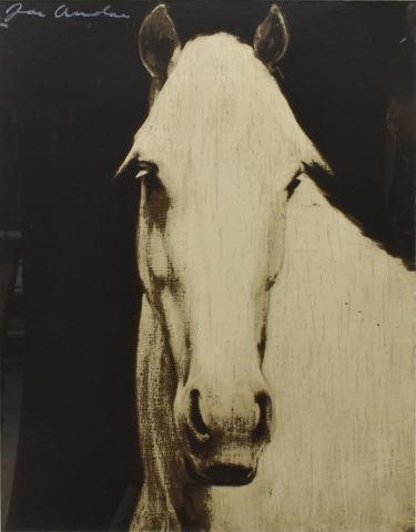 JOE ANDOE (B.1955) HORSE HEAD