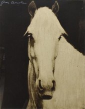 JOE ANDOE (B.1955) HORSE HEAD
