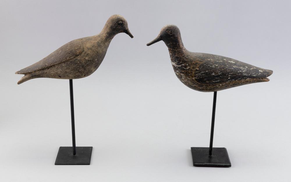 JOE LINCOLN BLACK-BELLIED PLOVER