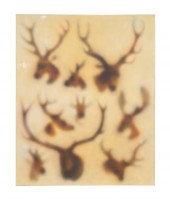 JOE PERAGINE, STAG TROPHY ENCA