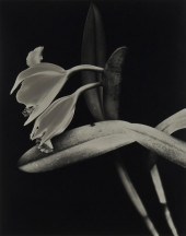 JOEL GLASSMAN (B. 1946), "BLAC