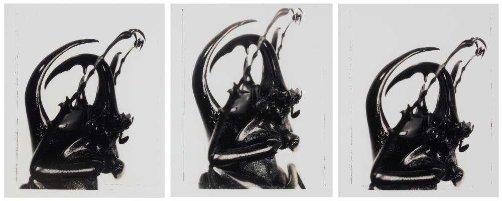JOEL GLASSMAN (B. 1946),