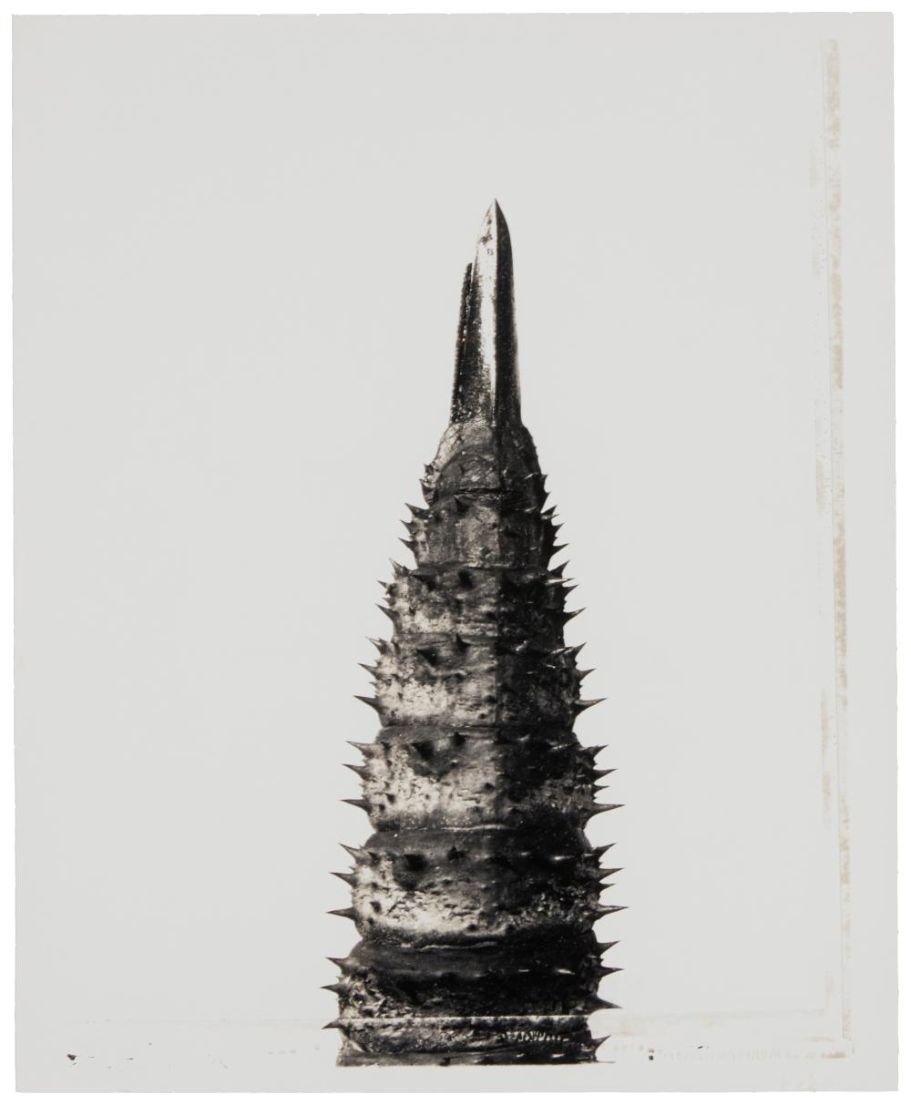 JOEL GLASSMAN (B. 1946),