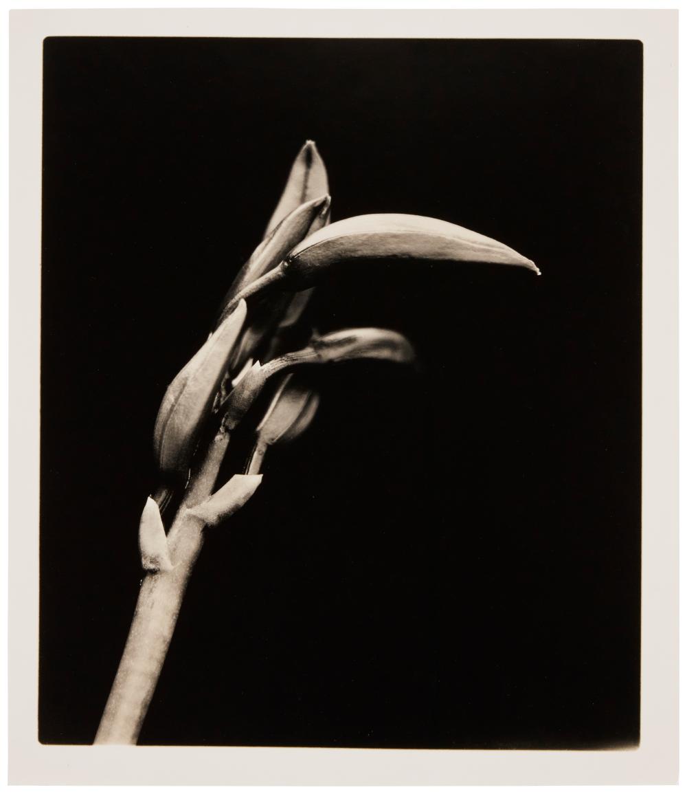 JOEL GLASSMAN (B. 1946),