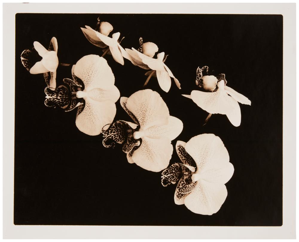 JOEL GLASSMAN (B. 1946),