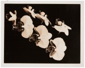 JOEL GLASSMAN (B. 1946), UNTIT