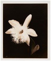 JOEL GLASSMAN (B. 1946), UNTIT