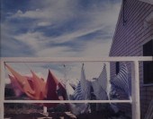 JOEL MEYEROWITZ (b. 1938): PRO