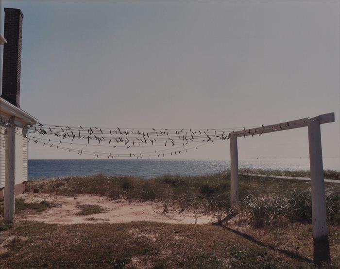 JOEL MEYEROWITZ (b. 1938):